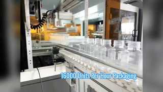 16000 Pcs Per Hour Dual Layer Packing Machine Solution