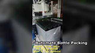 automatic carton box packing machine for hollow bottls