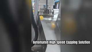 Fully Automatic Rotary Bottle Capping Machine Solution