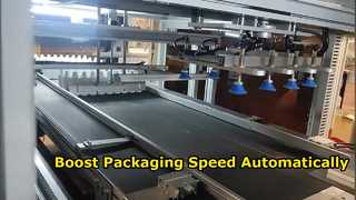 High Speed Automatic Packaging Machine for Mass Production