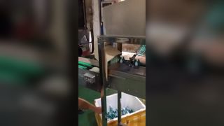 Automatic Bottle Shrinking Machine NC-350